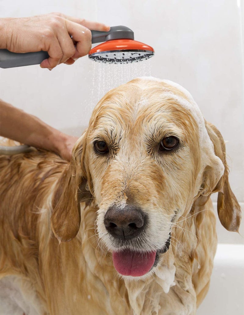 Ivation دش التخييم المحمول من إيفيشن | رأس دش خارجي قابل لإعادة الشحن ومحمول ومريح مع مضخة 3.7 فولت، خرطوم بطول 6 أقدام، رأس بيديت، فلتر قابل للإزالة، خطاف متعدد الاستخدامات وكابل USB - Image 5